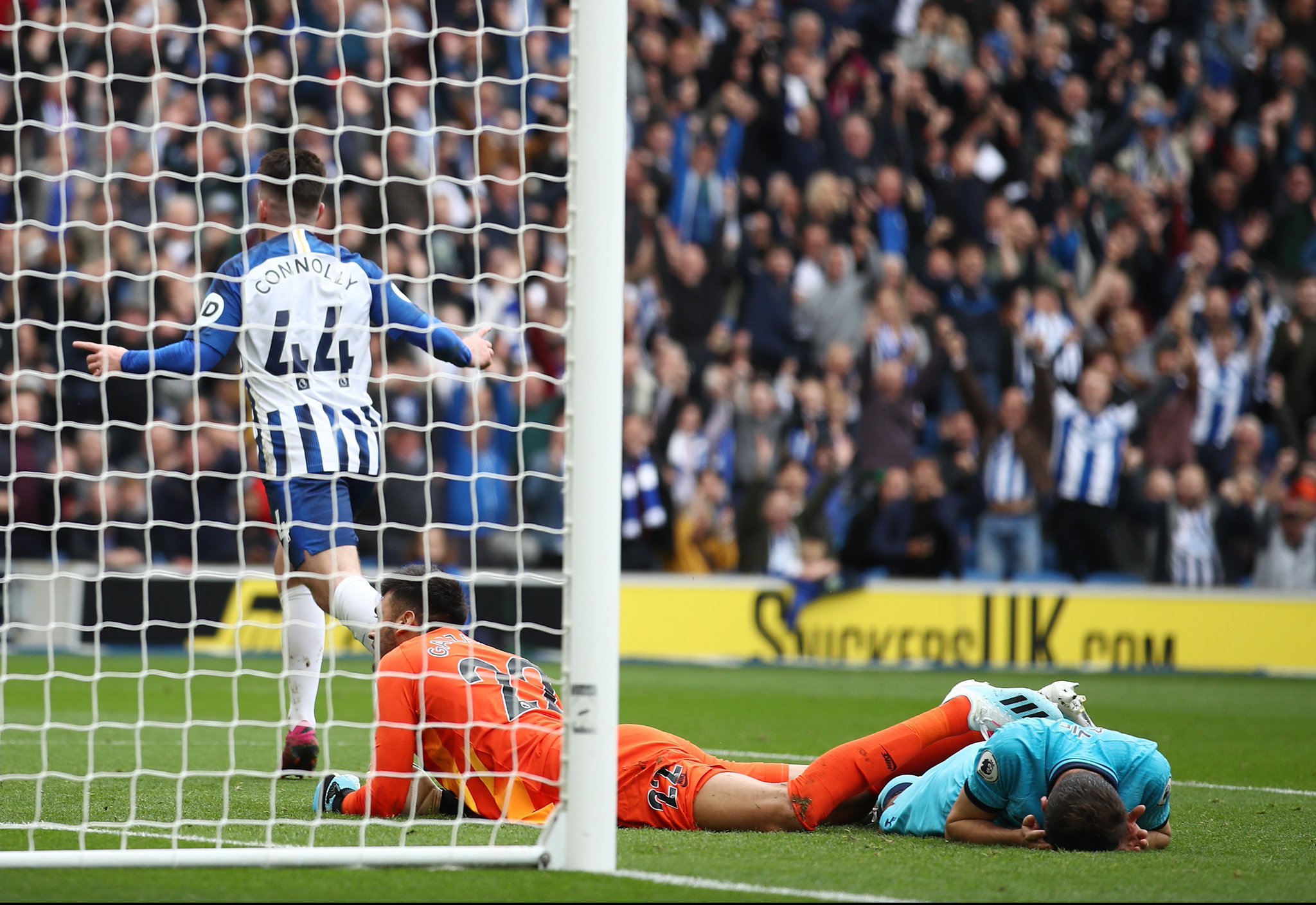 在专注于某 在专注于某